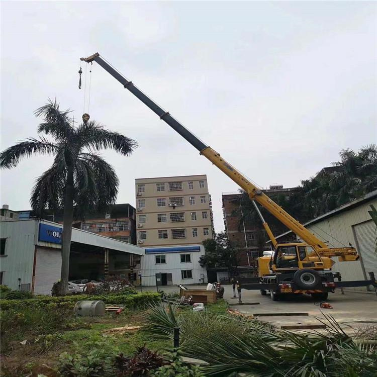 浦北吊车吊大树几种方法